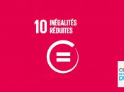 L'ODD 10, inégalités réduites, ne prend en compte que les inégalités de revenus. Les inégalités face au pouvoir sont la cause première des inégalités de revenus.