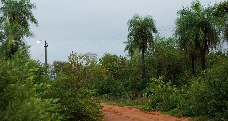 Gaston Jean travaille sur l'environnement pour sensibiliser, éduquer et agir en Haïti