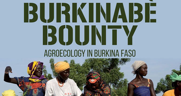 Affiche du film Burkinabé Bounty montrant des burkinabées