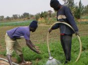 Deux personnes utilisant l'eau en agriculture au Burkina Faso