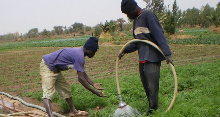 Deux personnes utilisant l'eau en agriculture au Burkina Faso